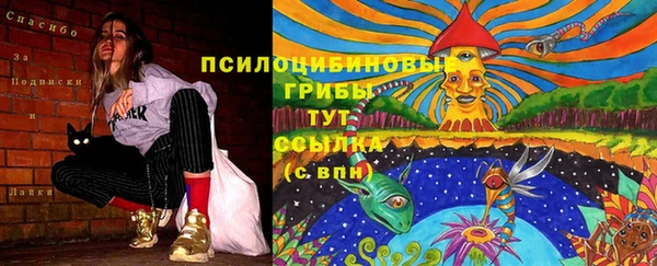 МДПВ Каменск-Шахтинский