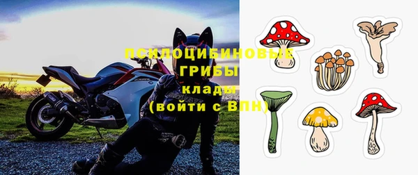 МДПВ Каменск-Шахтинский