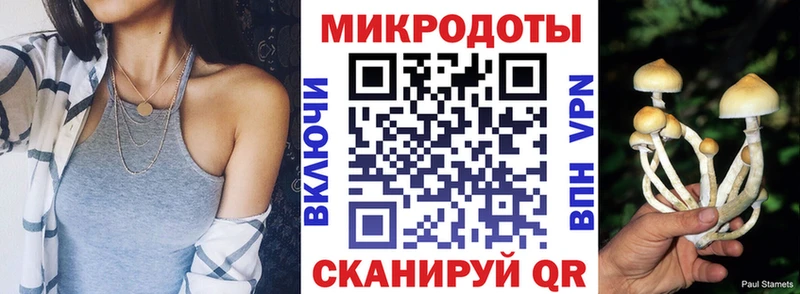 Псилоцибиновые грибы мицелий  Купить  Чаплыгин 